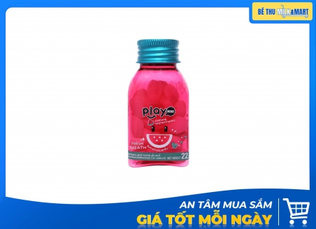 Kẹo Playmore Không Đường Hương Dưa Hấu 22g