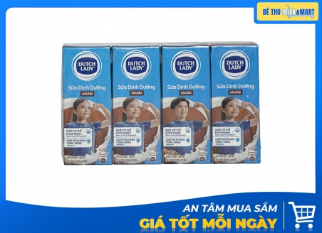 Sữa Tươi Dutch Lady Socola 180ml